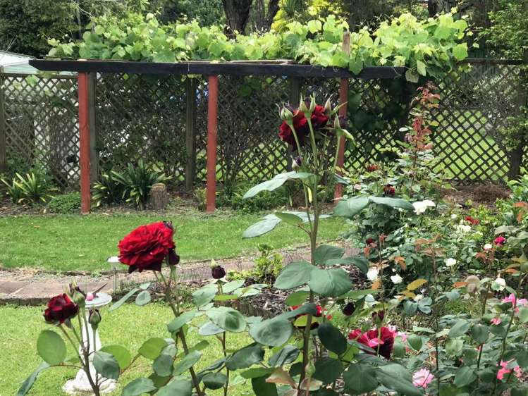 53 Kaurilands Road Titirangi_18