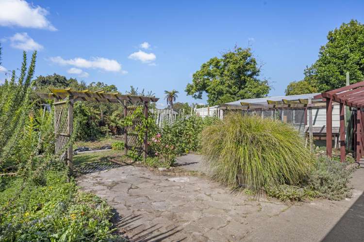 611A St Aubyn Street West St Leonards_18