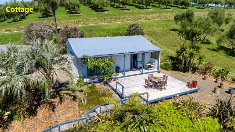 125b Frantoio Ridge Road Mangonui_17