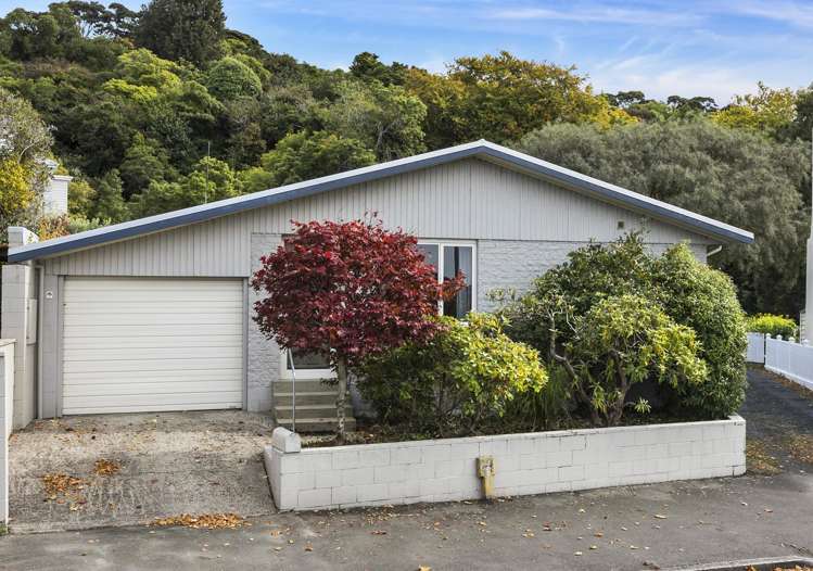 52a Royal Terrace Dunedin Central_14