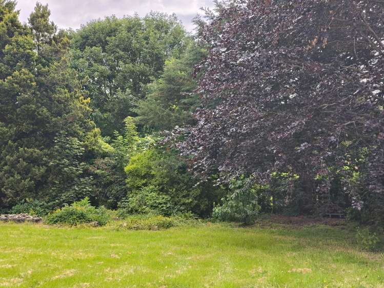 16 Whitehaven Street Lawrence_13