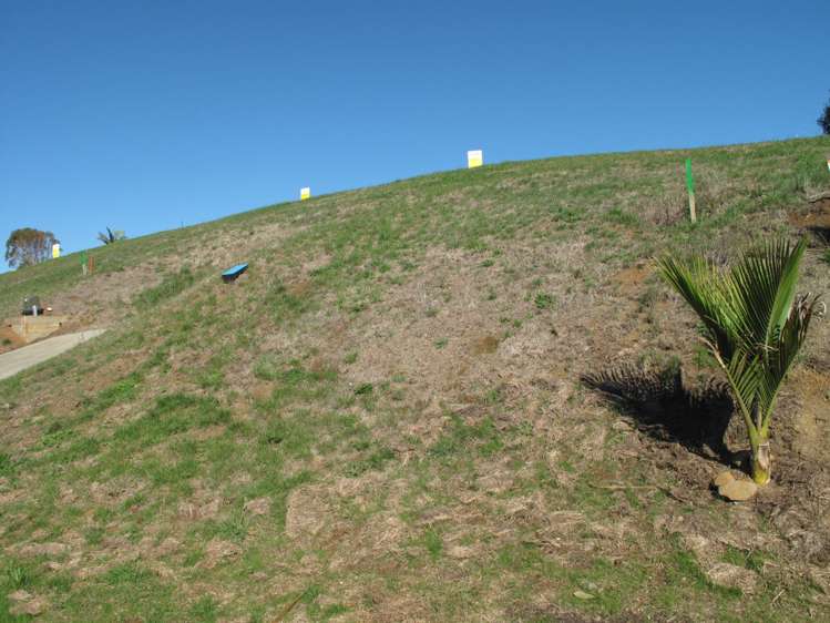 2 Nikau Park Raglan_2