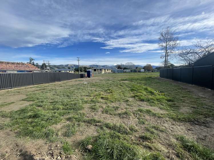 Victoria Street Springfield_5