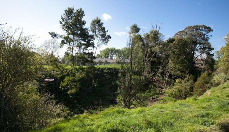 123d Newell Road Tamahere_9