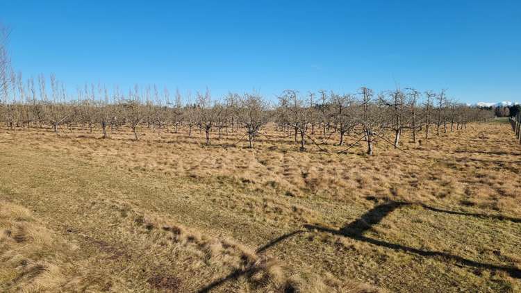 831 Downs Road West Eyreton_8