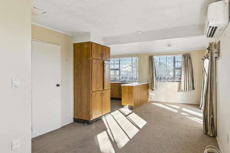 12 Douglas Street Levin_10