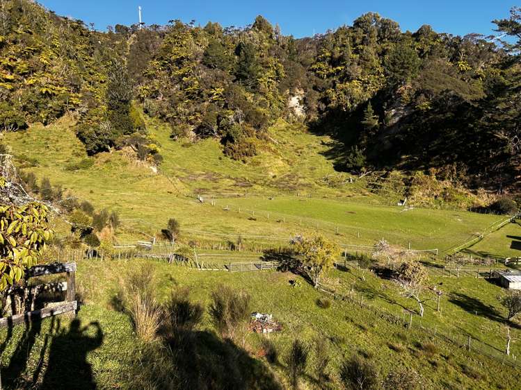 1724 State Highway 3 Uruti_14