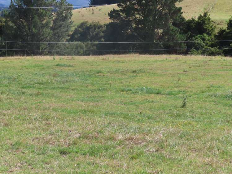 507 Otope Road Dannevirke_21