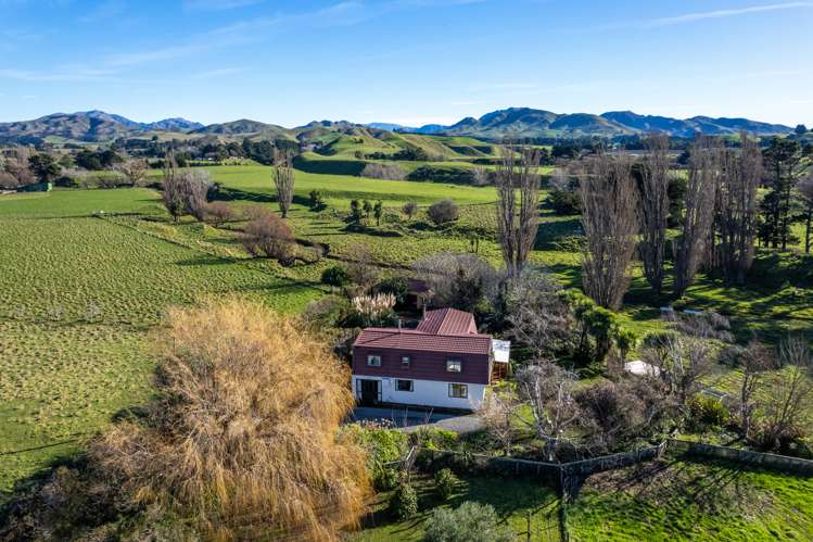 7252 State Highway 1 Ward_18