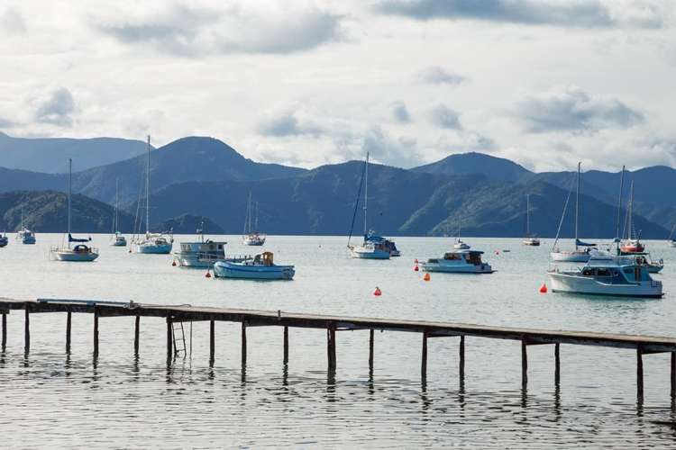 317 Waikawa Road Waikawa_26