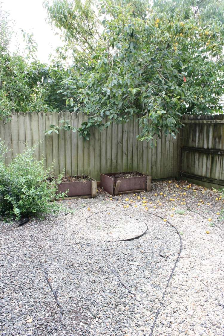 11/50 Livingstone Street Grey Lynn_5