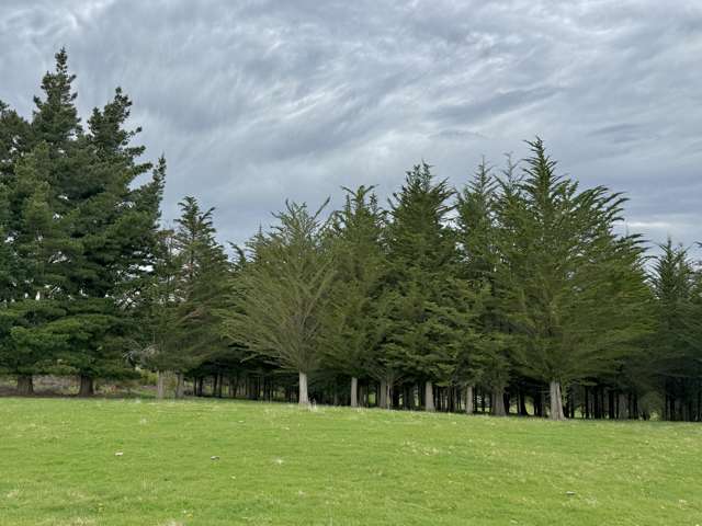 Lot 4 McKenzie Road, Livingstone Duntroon_4