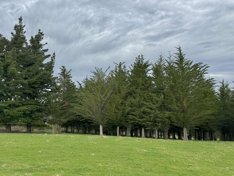 Lot 4 McKenzie Road, Livingstone Duntroon_4