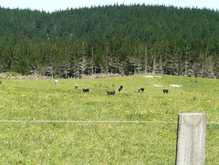 658 Lake Road Kaikohe_7