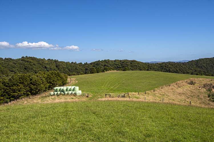 114 Hay Road Hukerenui and Surrounds_27