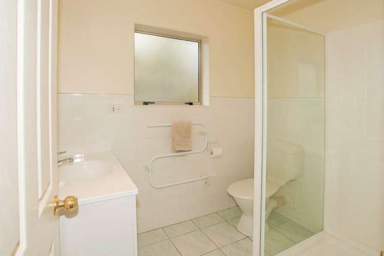 17e Cradock Street Avondale_9