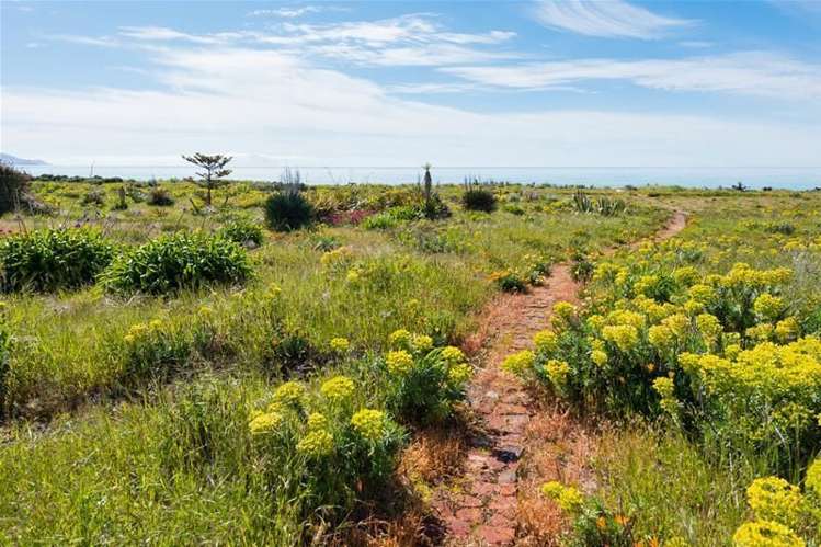 212 Rarangi Beach Road Rarangi_16