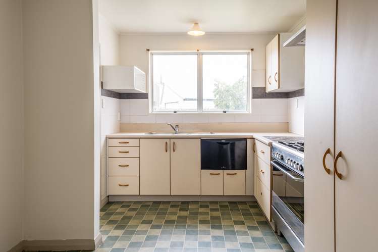 58 Alma Street Renwick_2