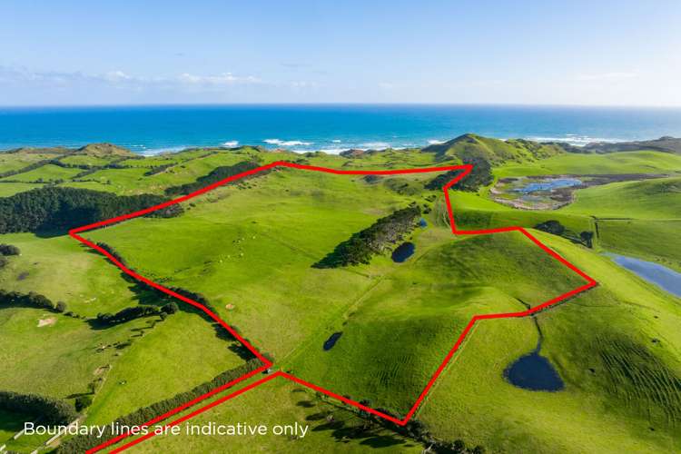 386 Rehutai Road Dargaville Surrounds_4