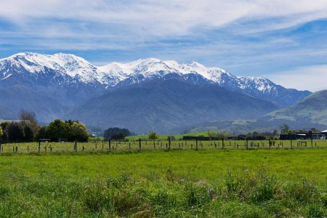 37 Skevingtons Road Hapuku_4