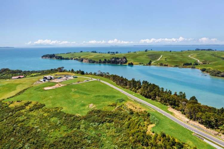 Lot 109 Weiti Bay Okura Bush_10