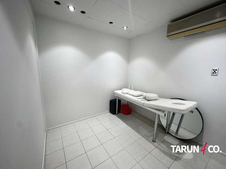 393 Parnell Road Parnell_5