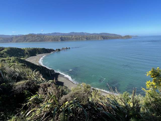 79 Mantell Street Seatoun_4