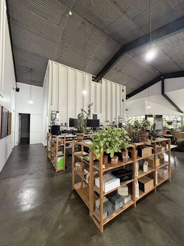 21 Scanlan Street Grey Lynn_1