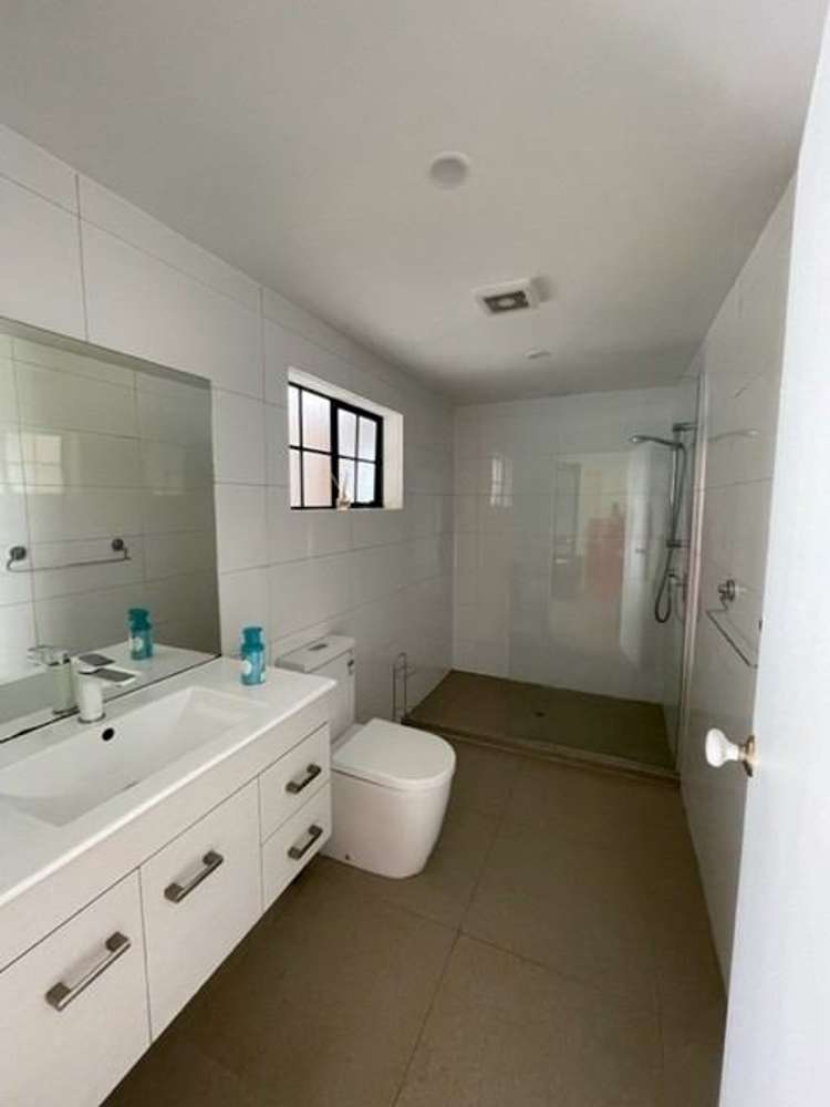 880 Glen Murray Road Rangiriri_5