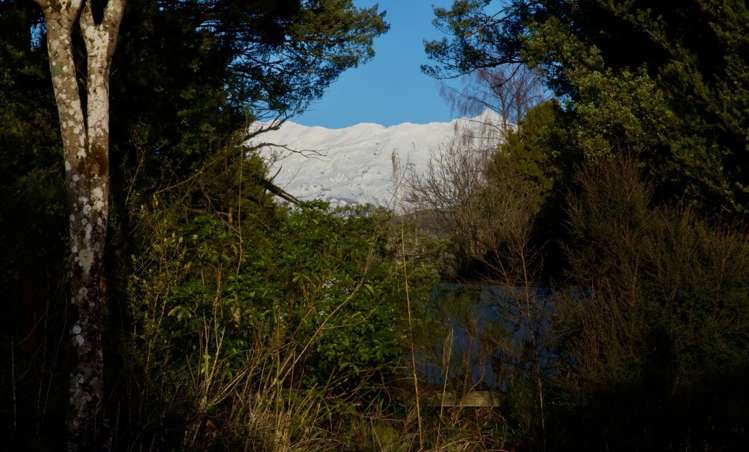13 Findlay Street National Park_11