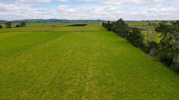 220 Valintine Road Gordonton_19