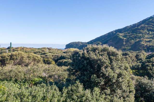 270 Bethells Road Bethells Beach_1