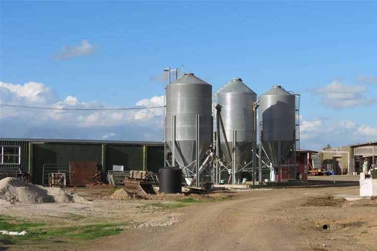 1532 Orini Road Orini_5