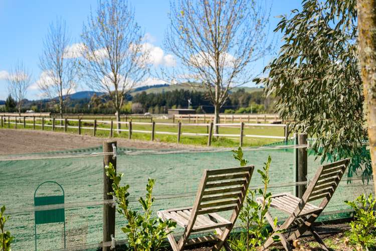 2274A State Highway 63 Wairau Valley_41