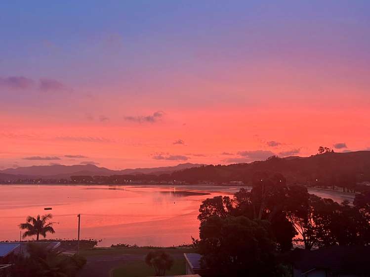 191 Buffalo Beach Road Whitianga_44