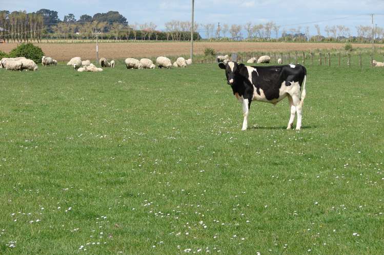 653 Grove Bush Woodlands Road Winton Surrounds_13