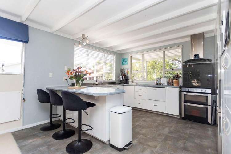 101 Guy Street Dannevirke_1