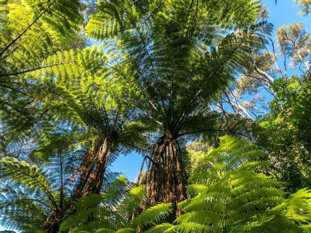 2940 Kenepuru Road Kenepuru Sound_4