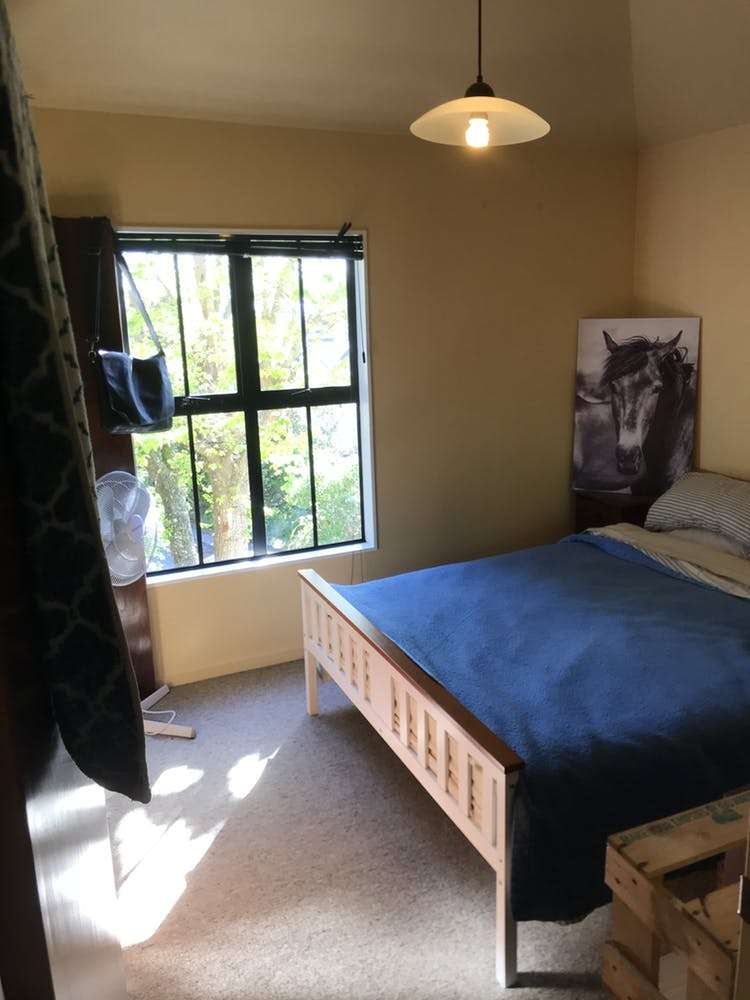 12/358 The Terrace Te Aro_5