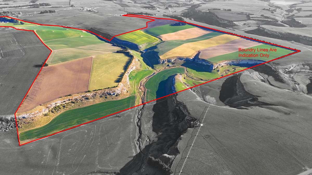 594 Tokarahi-Ngapara Road_3