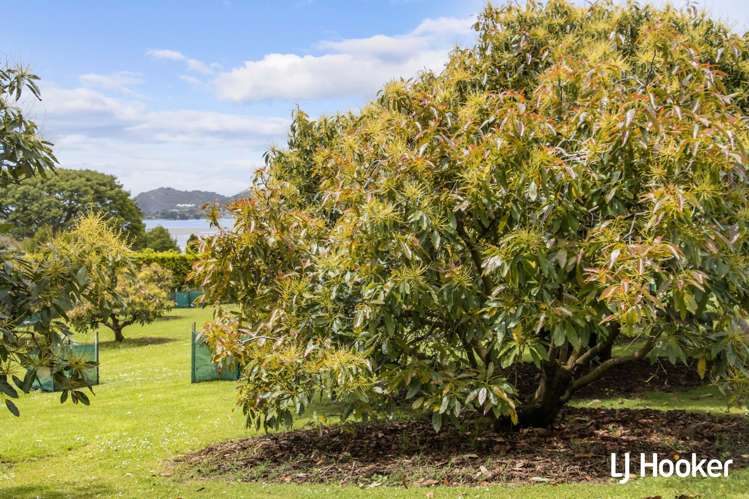 117 Athenree Road Athenree_24