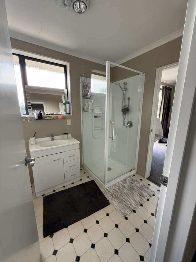 131A Howick Road Redwoodtown_2