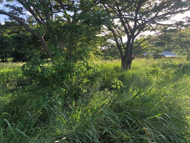 Address withheld Nadi_1