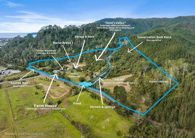 896a Hikuai Settlement Road Pauanui_2