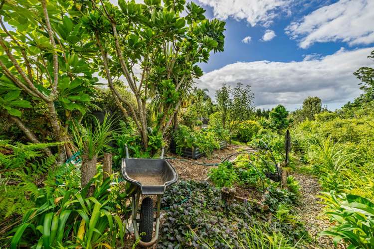 73D Riddell Road Kerikeri_37