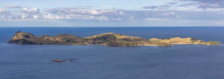 193 Pacific Ocean, Slipper Island Pauanui_15