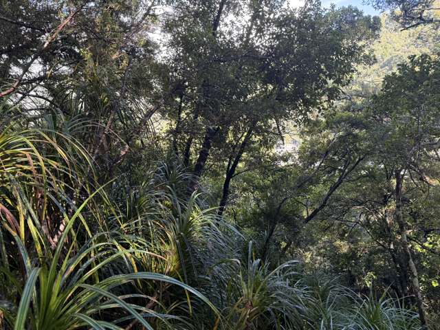 Fitzgerald Street Jackson Bay_2