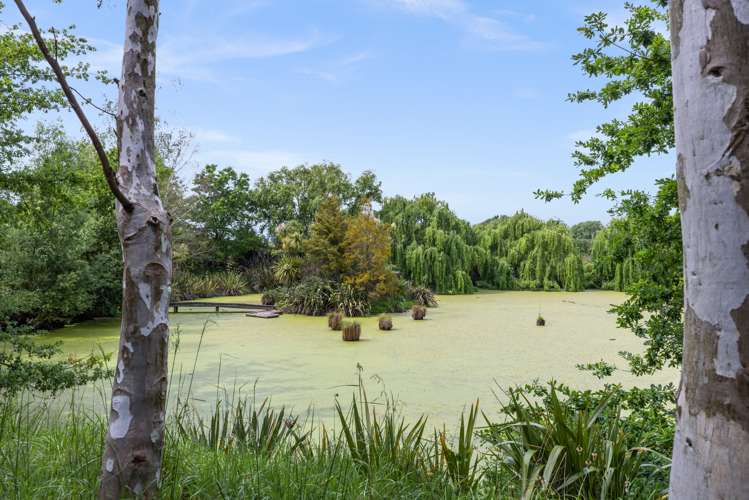 1262 Maraekakaho Road Longlands_5