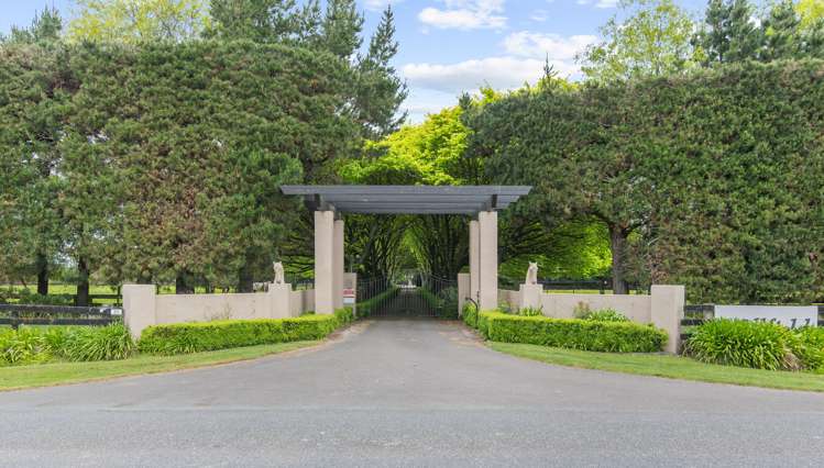 311 Kairanga Bunnythorpe Road Bunnythorpe_29