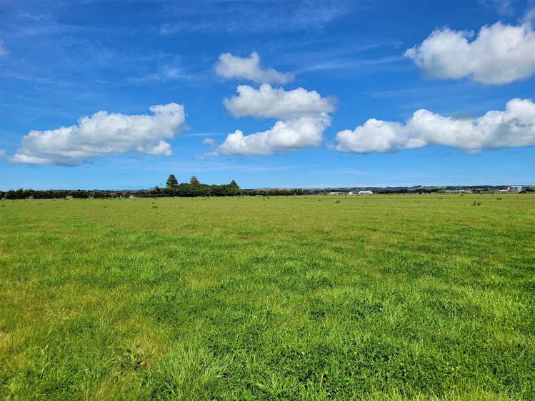 Tramline Road Ruawai_5